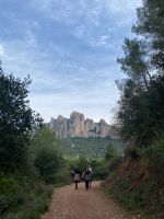 Klik za večjo sliko